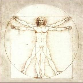 Proportionsstudie nach Leonardo da Vinci